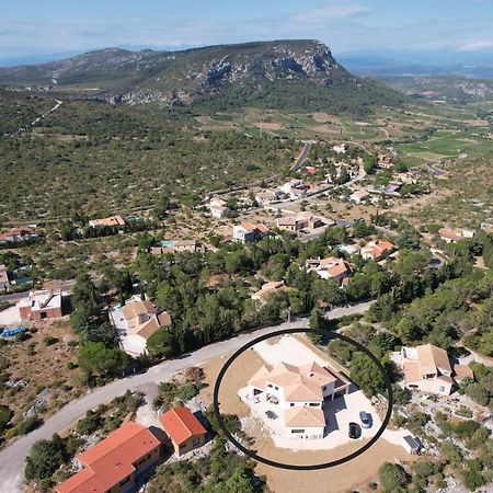 Trois Appartements Au Sein Du Mas Jams - Le Gouleyrous, Le Canigou Et Le Figarassa Vingrau Exterior photo