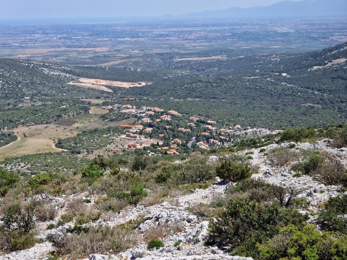 Trois Appartements Au Sein Du Mas Jams - Le Gouleyrous, Le Canigou Et Le Figarassa Vingrau Exterior photo